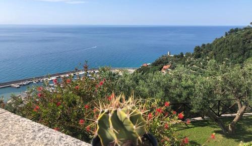 Deluxe Suite with Sea View