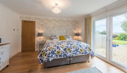 Superior Double or Twin Room with Terrace