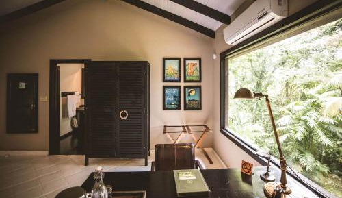 Double Queen Jungle Suite