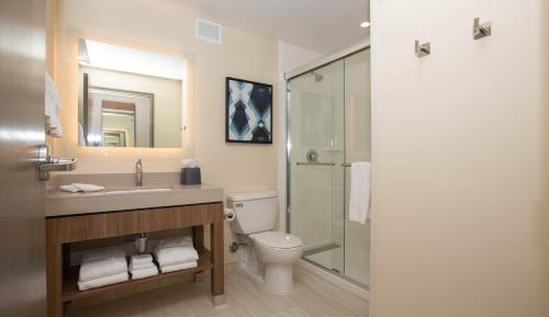 One-Bedroom King Suite