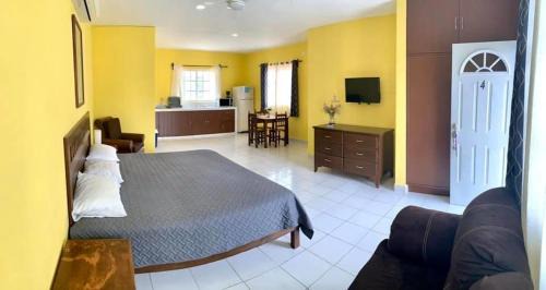Studio Apartment