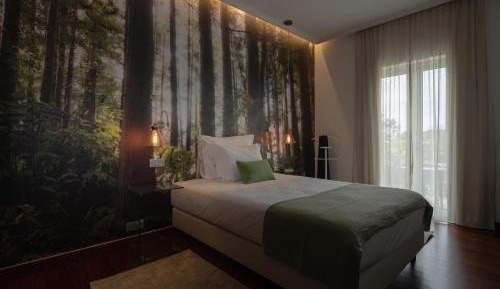 Standard Mini Double Room