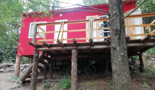 One-Bedroom House