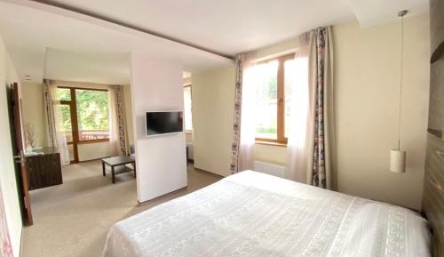 Standard Suite with Partial Slopes View