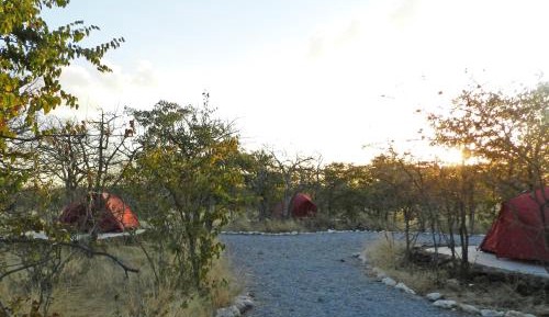 Basic Camp Site (bring your own tent)
