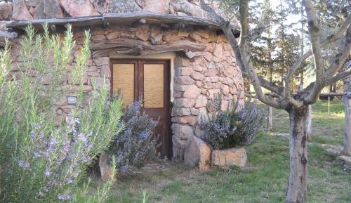Studio with Garden View