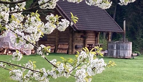 Holiday Home with Sauna