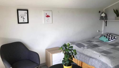 Family Studio