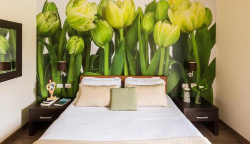 Comfort Double Room with Balcony and Lake View