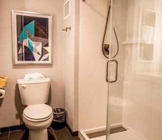 Standard King Room with Walk In Shower and City View