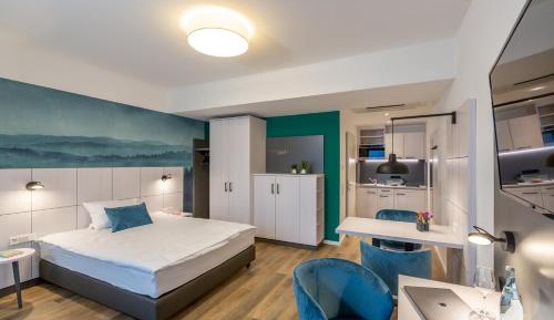 Large One-Bedroom Apartment