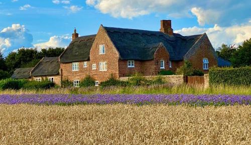 One-Bedroom Cottage