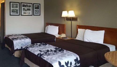 Double Room with Two Double Beds - Non-Smoking