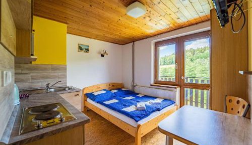 One-Bedroom Apartment (2 Adults)
