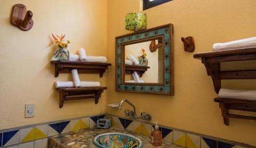 Classic Studio / Girasol