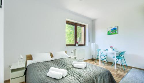 Studio Apartment