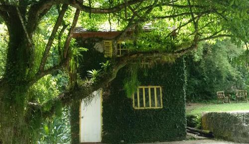 Superior Chalet