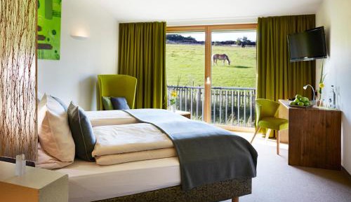 Comfort Double Room (1 Adult)