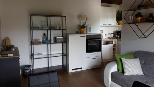 One-Bedroom Apartment with Balcony and Mountain View  