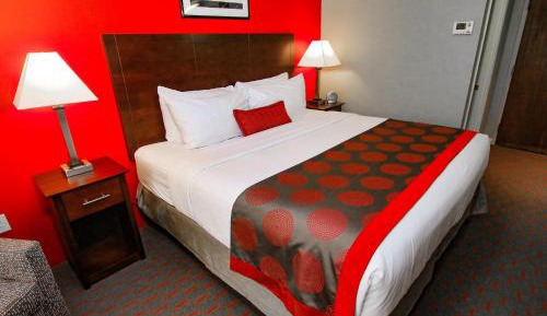 King Room -  Non-Smoking