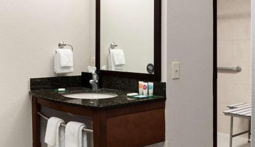 King Room with Sofa Bed and Roll-In Shower - Disability Access