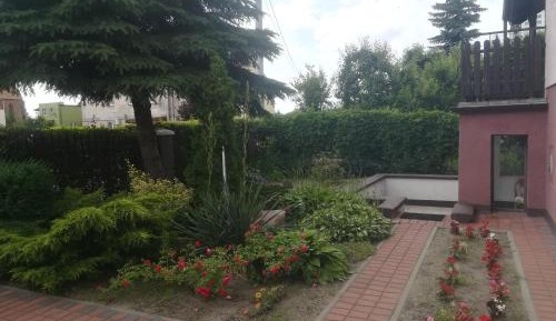 Triple Room with Terrace