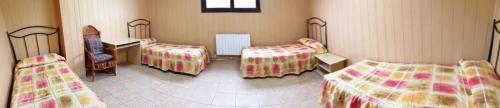 Bed in 4-Bed Mixed Dormitory Room