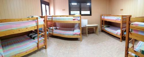 Bunk Bed in Mixed Dormitory Room