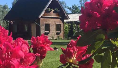 One-Bedroom Chalet