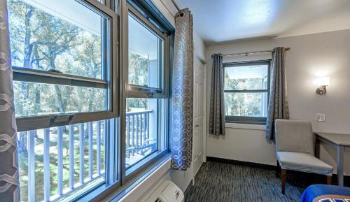 Studio with Garden View