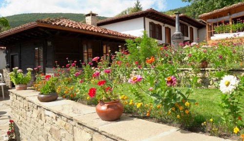 Studio with Garden View