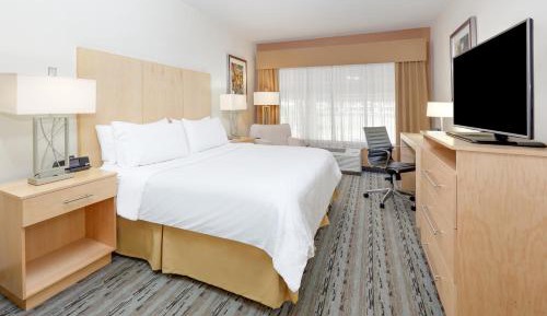 King Suite - Hearing Disability Access