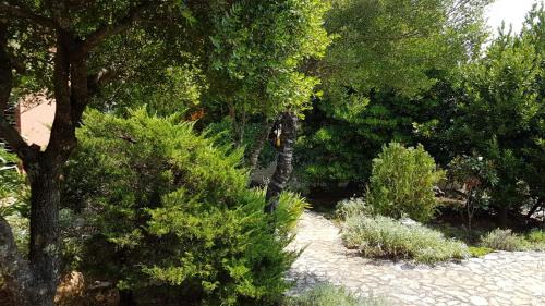 Studio with Pool View