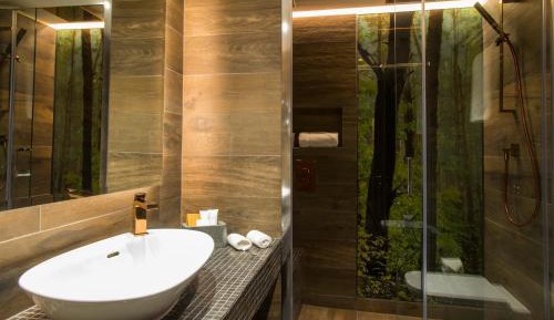 Double Room with Mountain View