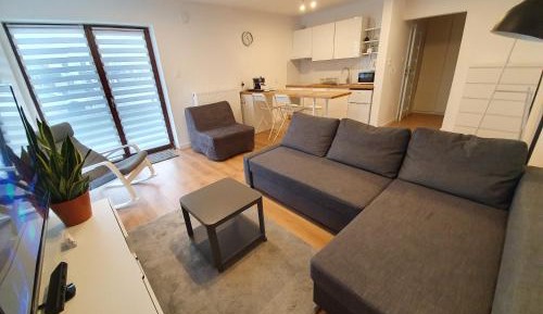 Apartment with Terrace