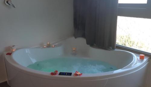 Deluxe Double or Twin Room with Mountain View