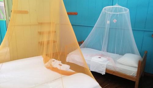 Triple Room with Private Bathroom