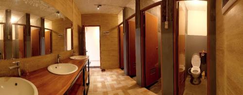 Single Bed in Mixed Dormitory Room