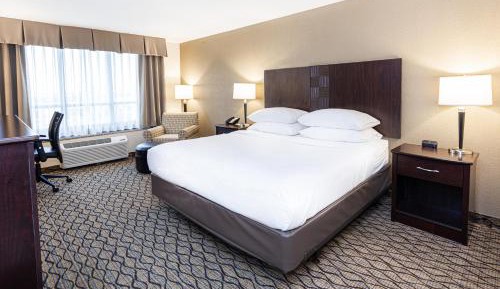 Premium King Room