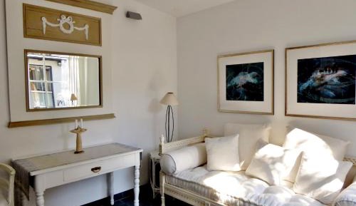 Junior Ant Suite