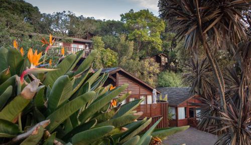 Chalet - Hillside