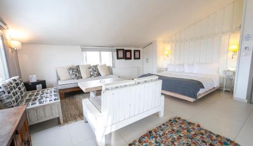 Studio Suite