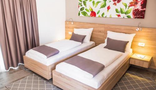 Deluxe Double or Twin Room with Garden View