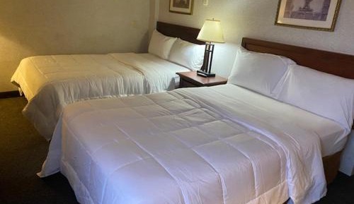 Double Room with Two Double Beds