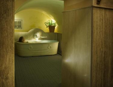 Twin Room with Terrace and Spa Access