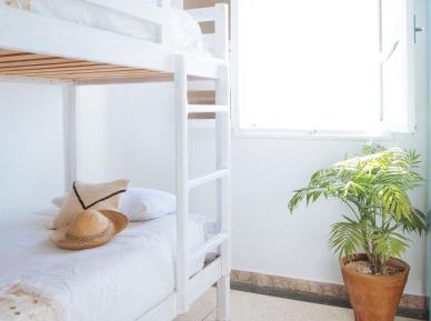 Bunk Bed in Mixed Dormitory Room
