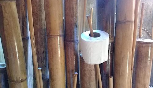 Deluxe Bungalow with Private Bathroom