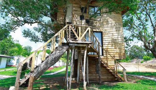 Tree House