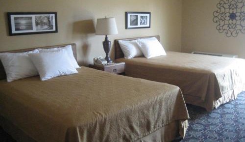 Queen Room with Pool View
