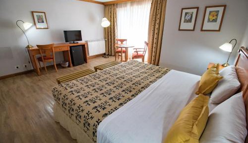 Standard Double or Twin Room